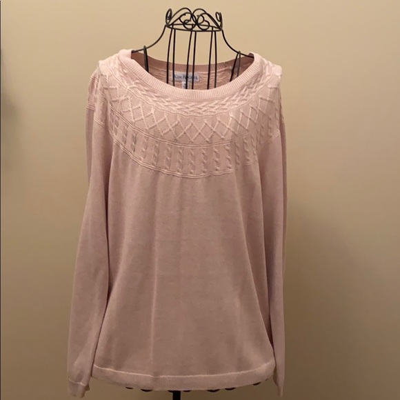 Kim Rogers Sweaters - NWT Pull-On Sweater